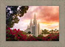 Load image into Gallery viewer, San Diego Flowers