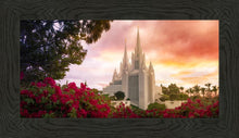 Load image into Gallery viewer, San Diego Flowers