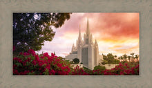 Load image into Gallery viewer, San Diego Flowers