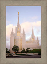 Load image into Gallery viewer, San Diego Pastel