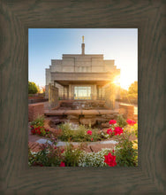 Load image into Gallery viewer, Snowflake Sunburst