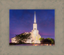 Load image into Gallery viewer, Spirit in St. Louis