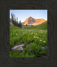 Load image into Gallery viewer, The Meadow