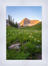 Load image into Gallery viewer, The Meadow