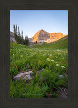 Load image into Gallery viewer, The Meadow