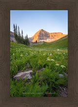 Load image into Gallery viewer, The Meadow
