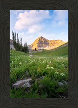 Load image into Gallery viewer, Timpanogos Meadow