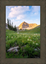 Load image into Gallery viewer, Timpanogos Meadow