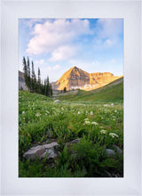 Load image into Gallery viewer, Timpanogos Meadow