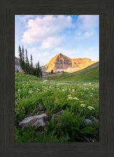 Load image into Gallery viewer, Timpanogos Meadow