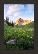 Load image into Gallery viewer, Timpanogos Meadow