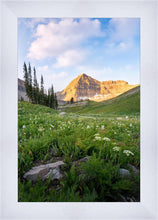 Load image into Gallery viewer, Timpanogos Meadow