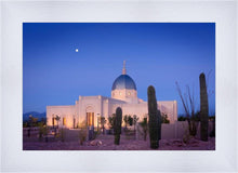 Load image into Gallery viewer, Tucson Cactus Morning