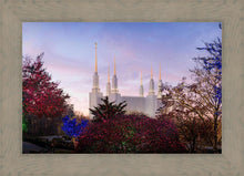 Load image into Gallery viewer, Washington DC Christmas Morning