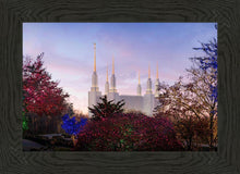 Load image into Gallery viewer, Washington DC Christmas Morning