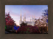 Load image into Gallery viewer, Washington DC Christmas Morning