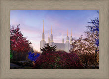 Load image into Gallery viewer, Washington DC Christmas Morning