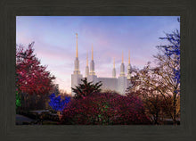 Load image into Gallery viewer, Washington DC Christmas Morning