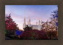 Load image into Gallery viewer, Washington DC Christmas Morning