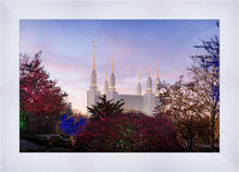 Load image into Gallery viewer, Washington DC Christmas Morning