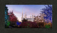 Load image into Gallery viewer, Washington DC Christmas Morning