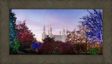 Load image into Gallery viewer, Washington DC Christmas Morning