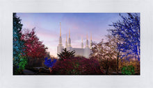 Load image into Gallery viewer, Washington DC Christmas Morning