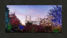 Load image into Gallery viewer, Washington DC Christmas Morning