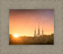 Load image into Gallery viewer, Washington DC Sunset Gold