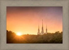 Load image into Gallery viewer, Washington DC Sunset Gold