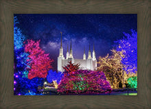 Load image into Gallery viewer, Washington DC Temple Christmas Lights