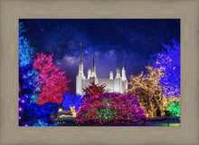 Load image into Gallery viewer, Washington DC Temple Christmas Lights