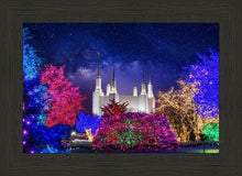Load image into Gallery viewer, Washington DC Temple Christmas Lights