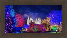 Load image into Gallery viewer, Washington DC Temple Christmas Lights