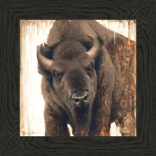 Load image into Gallery viewer, Strength