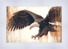 Load image into Gallery viewer, Liberty