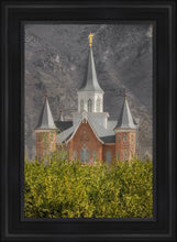 Load image into Gallery viewer, Provo City Center