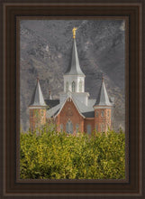 Load image into Gallery viewer, Provo City Center