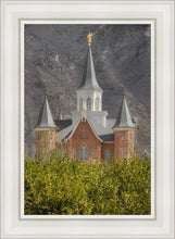 Load image into Gallery viewer, Provo City Center