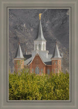Load image into Gallery viewer, Provo City Center