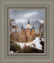 Load image into Gallery viewer, Provo City Center Winter Warmth