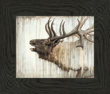 Load image into Gallery viewer, Nature's Art