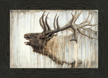 Load image into Gallery viewer, Nature's Art