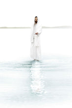 Load image into Gallery viewer, Come and see Blue Vertical
