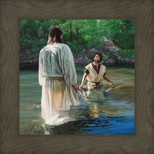 Load image into Gallery viewer, Sign of the Dove