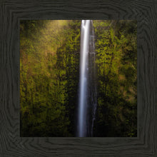 Load image into Gallery viewer, Akaka Falls Aloha