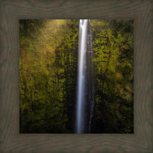 Load image into Gallery viewer, Akaka Falls Aloha