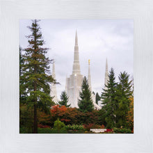 Load image into Gallery viewer, Portland Temple Forest Through The Trees