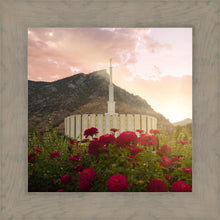 Load image into Gallery viewer, Provo Second Coming
