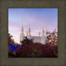 Load image into Gallery viewer, Washington DC Christmas Morning